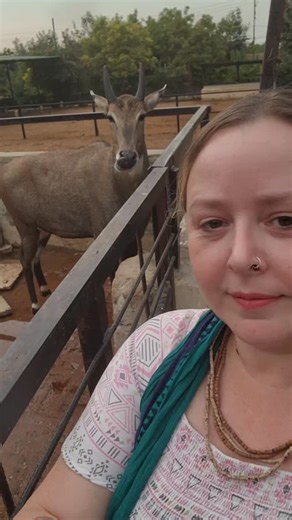 Krishna Priya Peterson | Kṛṣṇa-loka, or Goloka, is divided into three sections. The combination of all three is called Goloka, and the boundary line is also called... | Instagram