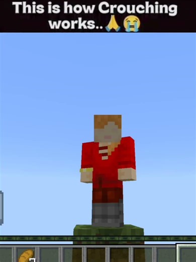 this is how crouching works ? #minecraft