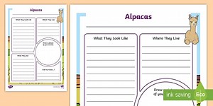 Alpaca Information Report Writing Template