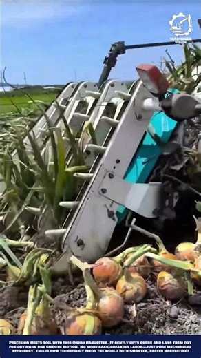 Smart Onion Harvesting Machine Work for Field Digging and Windrowing