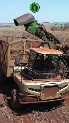 1.5K reactions · 68 shares | Tractor 25.000 da Teston Teston a marca dos gigantes | Portal dos Canavieiros | Facebook