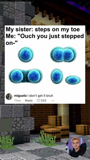 The Cell Division Pain is REAL 🧬 #memes #minecraft#meme #funny