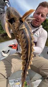 I Caught the SHARPEST Catfish on Earth! 😱 #fishing #catfish #fish #sharp #spike | Ryan Iz Fishing