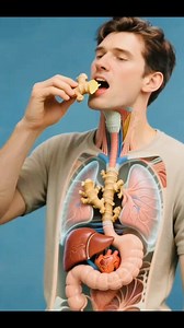 #health #fitnessmotivation #digestivesystem #medicalanimation # | BodyLogic 3D