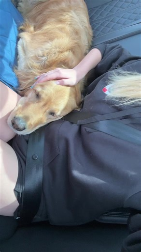 kales spammy (@kales..spam1)’s videos with original sound - songs n lyrics