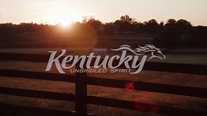 Kentucky’s famed horse farms will catch your eye, but the hardworking and passionate people behind them will capture your heart. 💙 Stay #HealthyAtHome while getting to know these folks who dedicate their lives to the animals they love in our new #TravelKY video series Behind the Gait: https://bit.ly/3buaf95 🐴 #TogetherKY | Kentucky Tourism