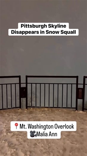 Look at this intense video of the snow squall on early Thursday morning from the Mt. Washington Overlook, which overlooks the city of Pittsburgh! You cannot see the skyline. Thank you Malia Ann for sharing this video! ❄️ ⚠️ #pennsylvania #snowsquall #meteorology #weather #january #2026 | PA Weather Plus, LLC