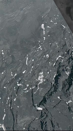 Crazy days Cod fishing from a boat. 🎥🔥#theshorehunter #seafishing #fishing #codling #lurefishing #norway #seaangling #boat #boatfishing #fishinglife #arctic | The Shore Hunter