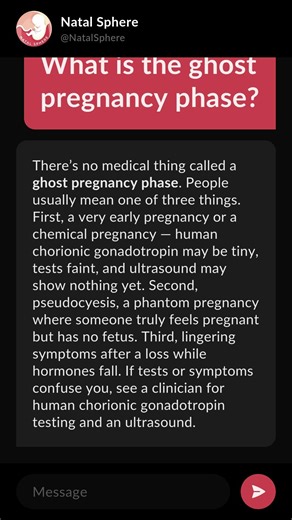 What is the ghost pregnancy phase?