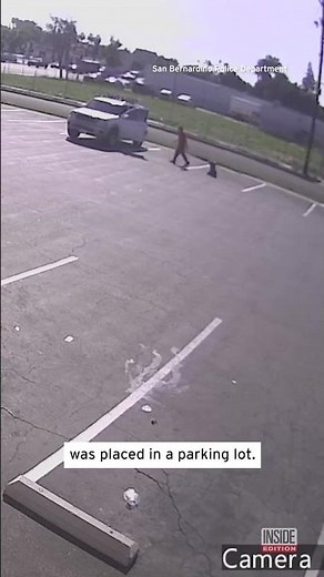 Teddy Bear Filled With Explosives Goes Off in Parking Lot #shorts