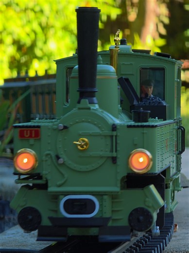 LGB Narrow gauge steam locomotive 0-6-2 pulls passenger coaches around the garden #gardenrailway #gartenbahn #gscale #lgbtrains #modeltrains
