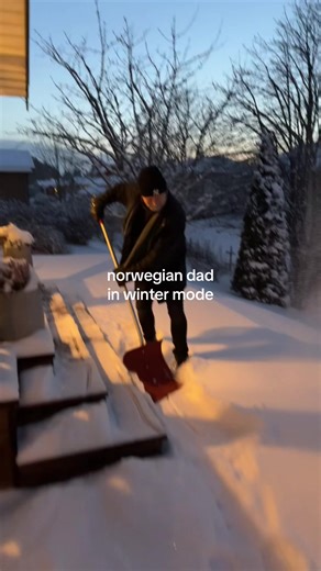 he couldnt let the princess walk thorugh the snow🫡 #norway #winter #snow #scandinavia #norge