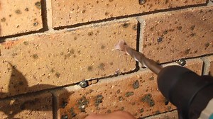 72 reactions · 12 comments | How To Install a Hoselink Reel Todd from HomeHandyHints on Youtube has made this awesome video. Check out more of his useful videos here: https://www.youtube.com/user/HomeHandyHints/featured | Hoselink Australia | Facebook