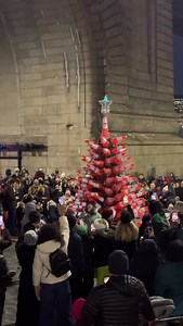 Thanks to everyone who came out last night to celebrate with us at our Tree Lighting! 🎄 Shoutout to the @curtisjofficial and the Dumbo house band, and our @dockstreetschool and @ps307brooklyn students for the entertainment. To @jacquestorreschocolate, @starbucks, @dawnstildusk and @mexologynyc @ivystark for the treats! to Santa and his elves for hanging out with us at the @selfportraitp photo booth! and to @caseyopstad @rpkarels for our incredible Dumbo Construction Cone Tree! ✨ 🎄 🚧 ✨ #dumbob