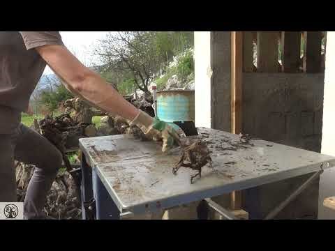 Cutting firewood with Einhell table saw!