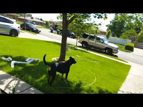 LBZ Duramax EGR Delete with Pusher Intake and Y-Bridge