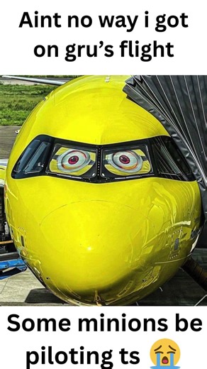 Despicable Plane #absurdhumor #airplanecomedy #memes