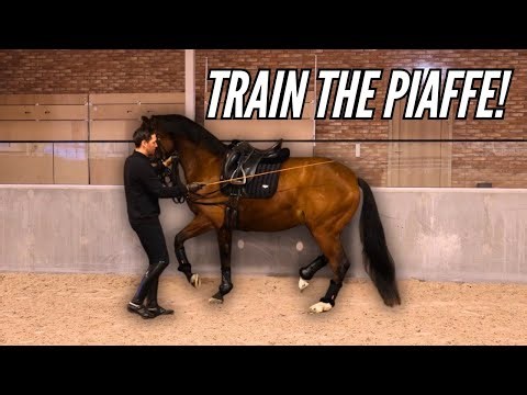 How To Teach The Piaffe: From Ground To Saddle