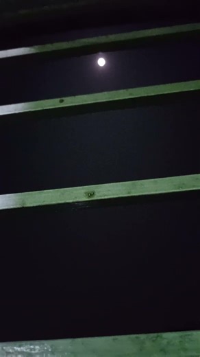 “How to Use a Steam Gift Card (Step-by-Step Guide)”