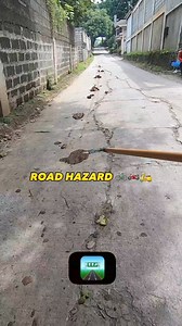 741K views · 8.3K reactions | #RENREN | REN REN | Facebook