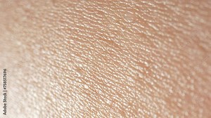 Surface skin texture encompasses visual and tactile features like smoothness, roughness, softness, and firmness. Age, genetics, skincare, environment, and health impact its variation. Skin background.