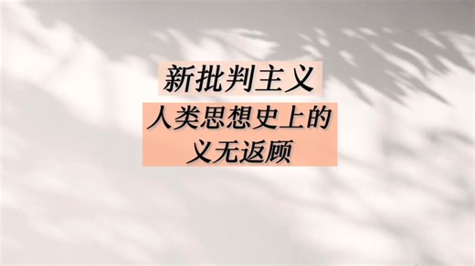新批判主义 与 新保守主义