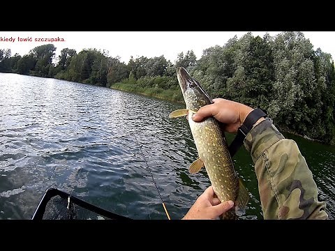 Kiedy najlepiej bierze szczupak/ łowna przynęta na szczupaka
