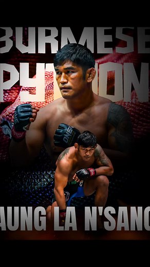 Burmese Python!!! Aung La Nsang🔥 simple and easy design for beginner 👊👊 #fyp #beginner #design #ideas #match #one #onechampionship