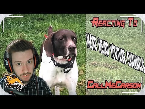 Reacting to CallMeCarson More Weird Youtube Channels