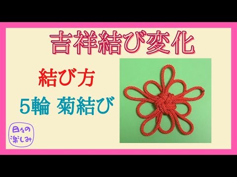吉祥結び変化　5輪の菊結び　結び方　Good Luck Knot Variation Knot Tutorial [吉祥結び系列Good Luck Knot Series 17]