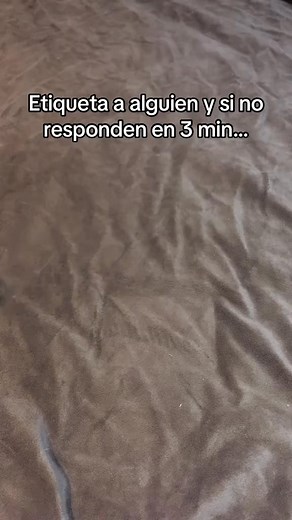 So cute 🥰 | Wolves Lovers