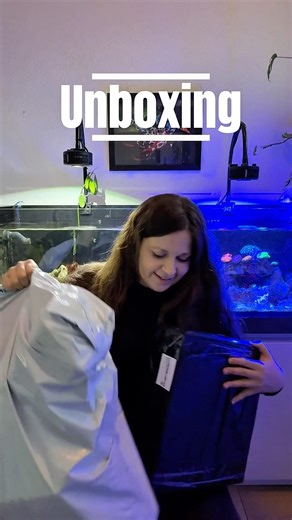 Heute gibt’s mein Temu-Unboxing 🛍️