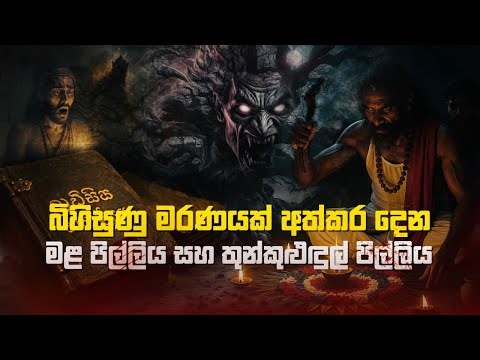 Mala Pilliya|Thunkuludul Pilliya |බිහිසුණු මරණයක් අත්කර දෙන මල පිල්ලිය සහ තුන්කුළුදුල් පිල්ලිය 2025