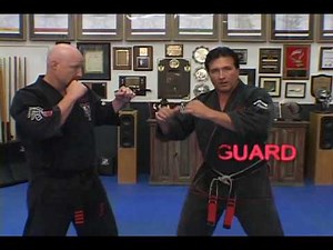 Jeff Speakman - Shielding Hammer