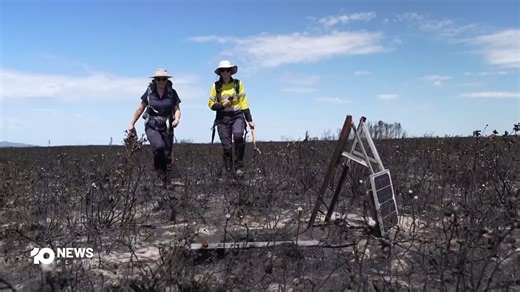 Wildlife authorities have returned to assess the impact of a bushfire on a national park on WA's south coast. The park is a vital habitat for a WA bird species now facing a heightened threat to its survival. | 10 News Perth