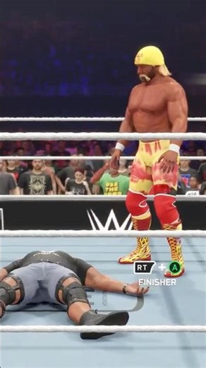 WWE HULK HOGAN ATTACKS STONE COLD