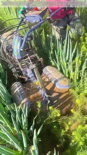 Weeding the Field: How Modern Machinery Simplifies Agricultural Labor