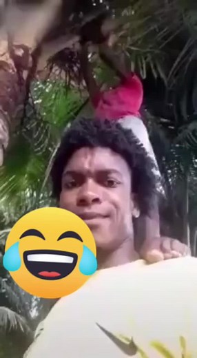 Ping Martin on TikTok