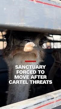 Sanctuary forced to move after cartel threats