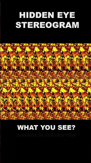 Eye exercise 3 #hiddeneye #stereogram #magiceye
