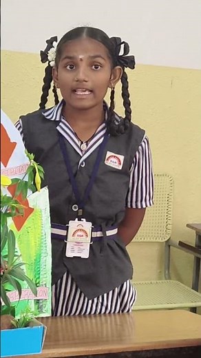 “DIY Water Cycle Project 🌧️ Evaporation–Condensation–Precipitation Model”