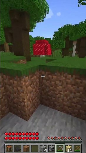 Minecraft, But I Play as an Enderman
