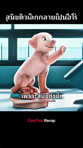 สุนัขตัวเล็กที่กลายเป็นฮีโร่ | หนังสั้นสะท้อนสังคม