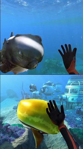 CUDDLEFISH VS TRIVALVE WHO'S THE CUTEST ? | Subnautica × Subnautica Below Zero