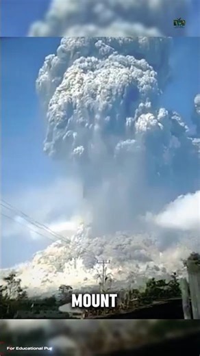 A Scenic Climb Became a Mass Casualty Event in Hours. #documentary#usashorts#fyp