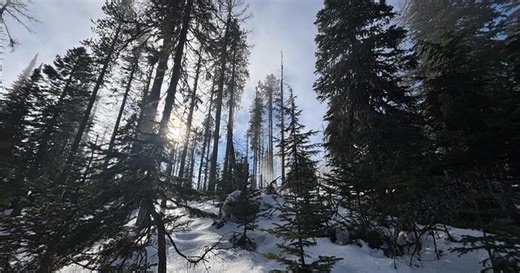 Do you know Washington's official state nickname? (Hint: It doesn't have one)