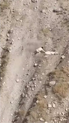 #automobile #اكسبلور #funny #fyp