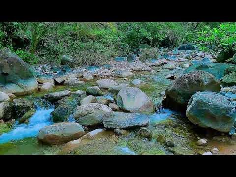 Calming Mountain Stream 🌿 Nature Water Sounds for Sleeping & Stress Relief