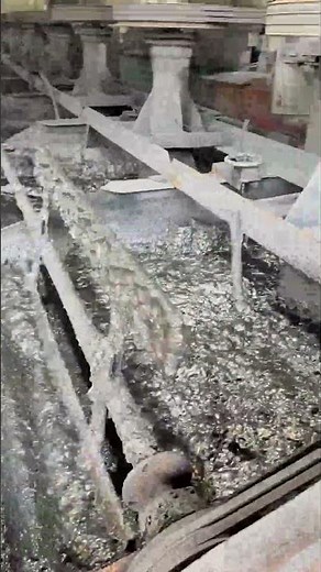 Industrial Mineral Flotation Process: How Ores are Separated