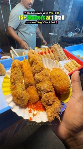 Viral 15 Types Veg Starters Point In Bhubaneswar Starting At ₹15 Only #Viral #VegSnack